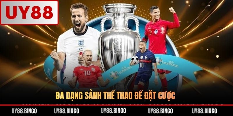 Đa dạng sảnh thể thao để đặt cược